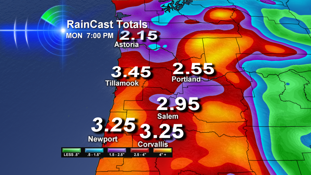 d.c. rain totals today